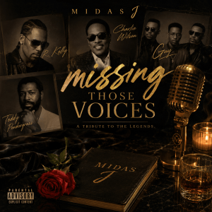 Missing those voices artwork